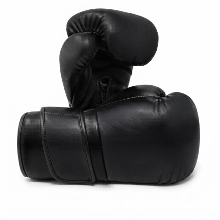 Gant de boxe